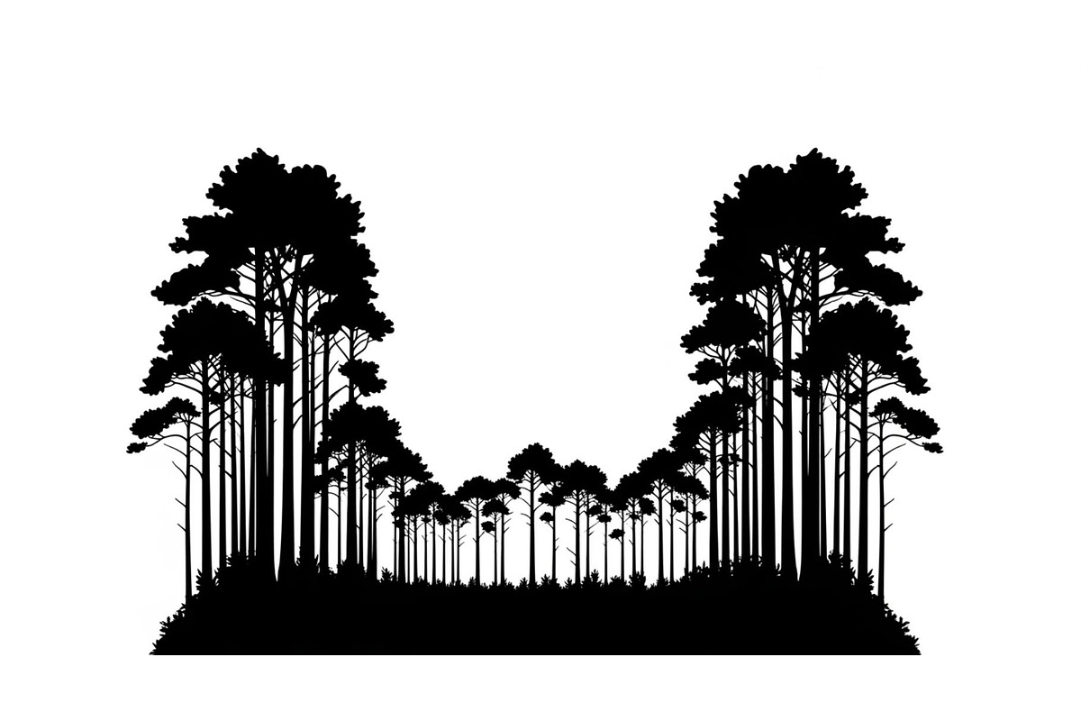 Forest Frame Silhouette SVG Bundle, an Illustration by jahid234 (Photo 13 of 51)