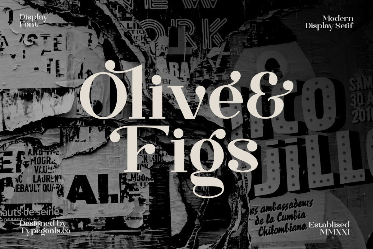 Mugiwara Swashy Serif, a Serif Font by Typegoals Studio (Photo 4 of 9)
