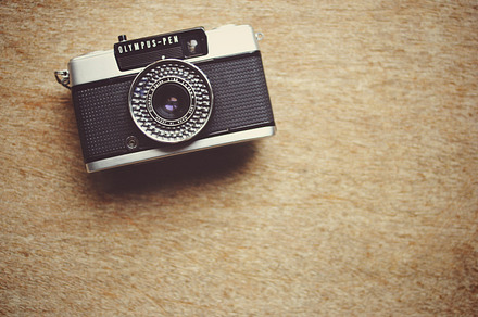 Vintage camera and flower preview 6