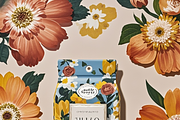 Packaging box design, an Illustration by TesMarteaux (Thumbnail 4 of 4)