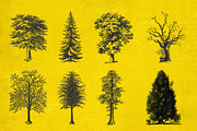 37 Vintage Tree Illustrations, an Object Graphic by AndrewPixel (Thumbnail 3 of 8)