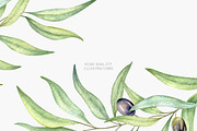 Olive Branches Watercolor Set, a Decorative Illustration by Daryartsy (Thumbnail 10 of 11)