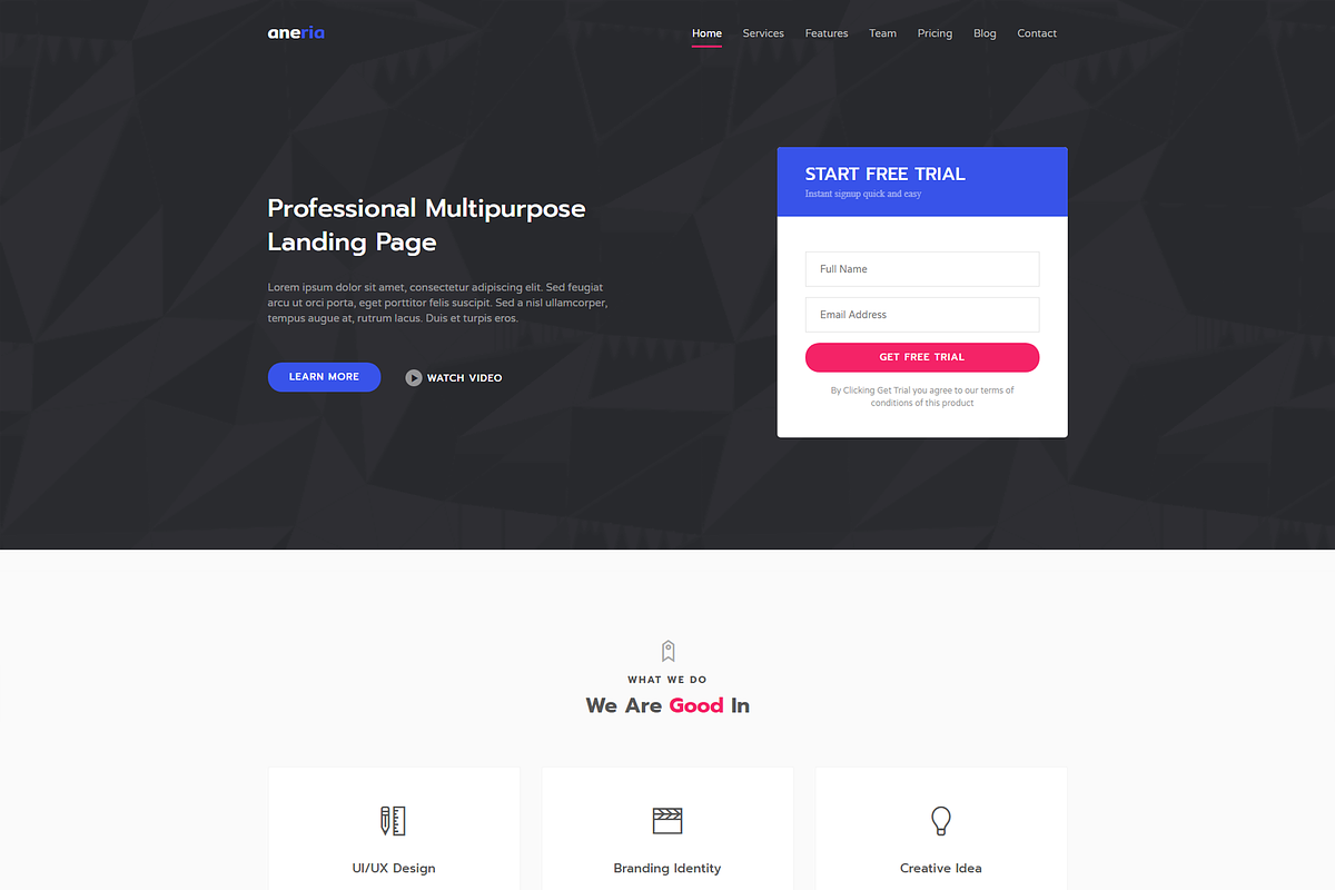 Aneria - Landing Page Template, a HTML Template by Pichforest Studio (Photo 2 of 3)