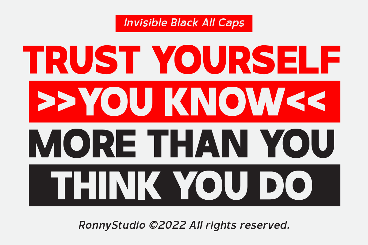Invisible Sans Serif Font Family, a Sans Serif Font by Ronny Studio (Photo 4 of 12)