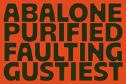 Orlive, a Sans Serif Font by Flavortype (Thumbnail 4 of 15)