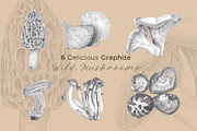 6 Graphite Gourmet Wild Mushrooms, a Food Illustration by Miriam Figueras (Thumbnail 1 of 3)