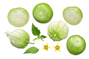 Tomatillo elements, an Object Graphic by Hortimages (Thumbnail 1 of 2)