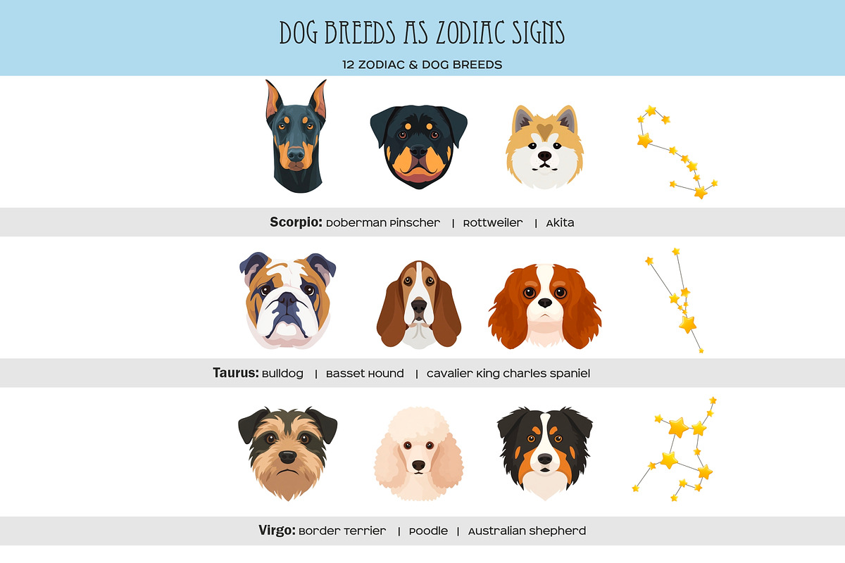 Zodiac signs and dog breeds clipart, an Animal Illustration by Art and Funny (Photo 5 of 10)
