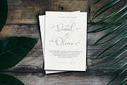 Lilypaly - Handlettering Font, a Script Font by Sronstudio (Thumbnail 4 of 19)