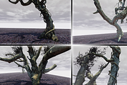 Witchwood, an Environmental 3D Model by MotuProprio (Thumbnail 3 of 7)