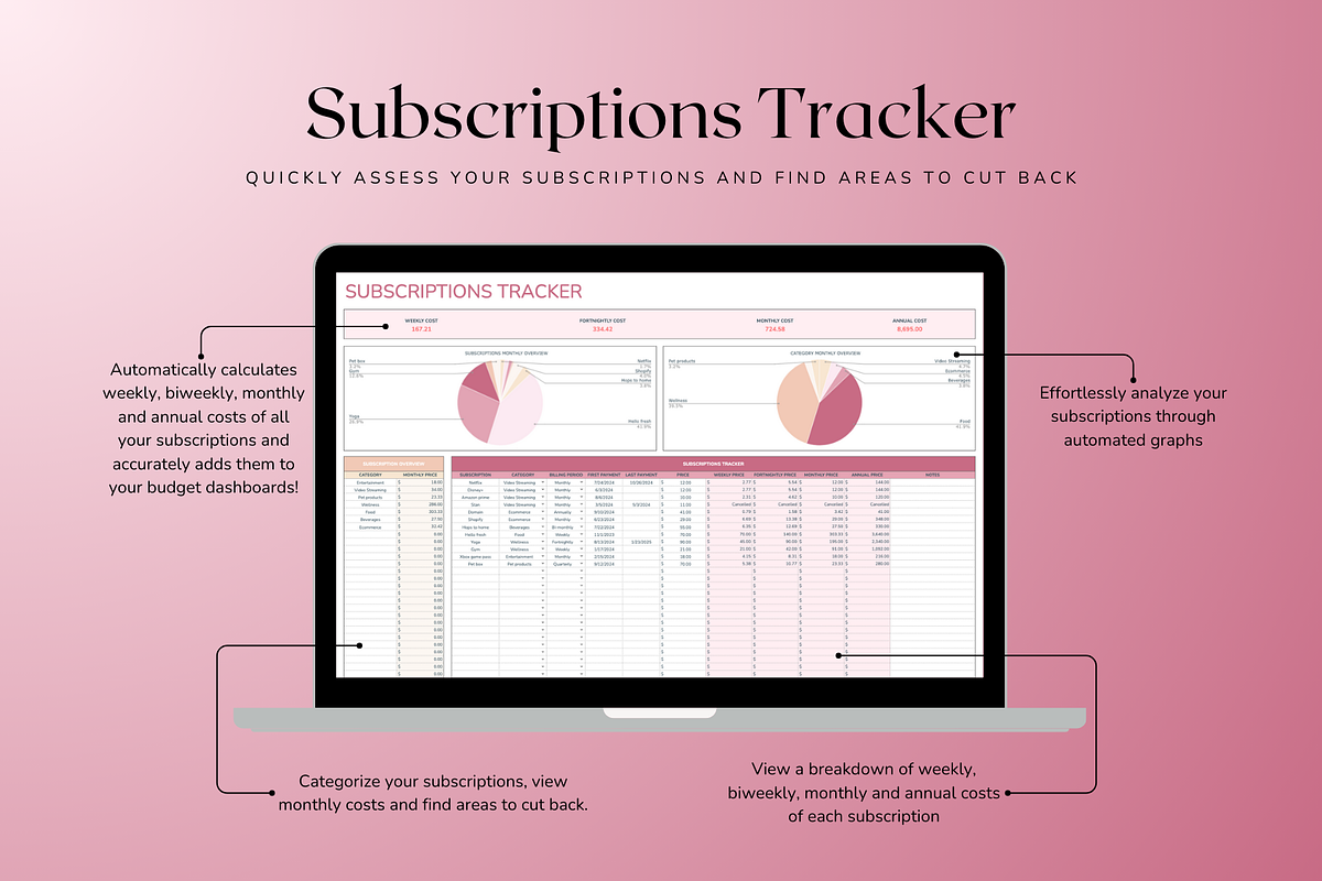 Standard Paycheck Budget - Red, a Templates & Theme by The Creative Plans co (Photo 5 of 10)