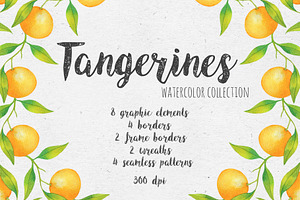 Tangerines. Watercolor collection