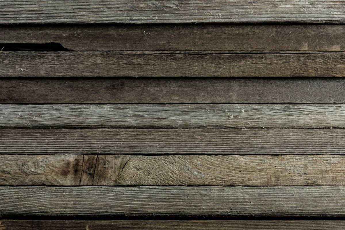 Wood End Grain Texture, a Texture Graphic by ACF Designs