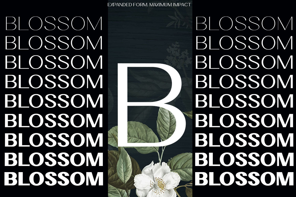 Velora, a Sans Serif Font by Typehill (Photo 9 of 12)