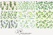 70 kitchen herb seamless pattern, a Pattern Graphic by Poppy Lane Studio (Thumbnail 8 of 10)