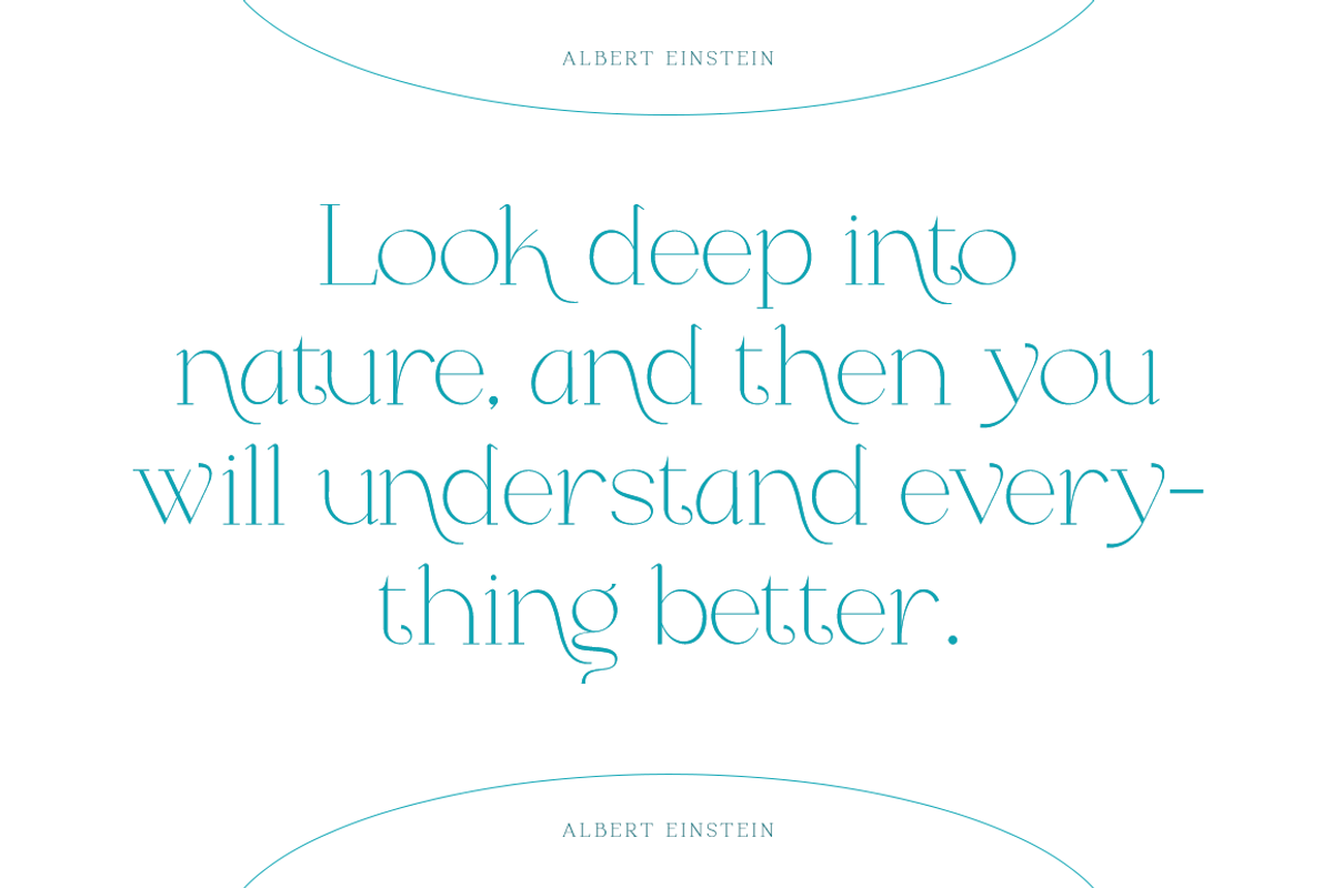 Angelic - Modern Stylish, a Serif Font by RockboyStd (Photo 7 of 12)