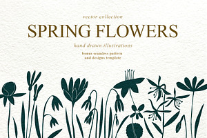 Spring Flowers Vector Collection