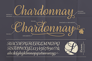 Liceum Script, a Script Font by Posterizer KG (Thumbnail 4 of 7)