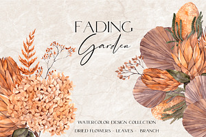 Fading Garden. Dried Collection