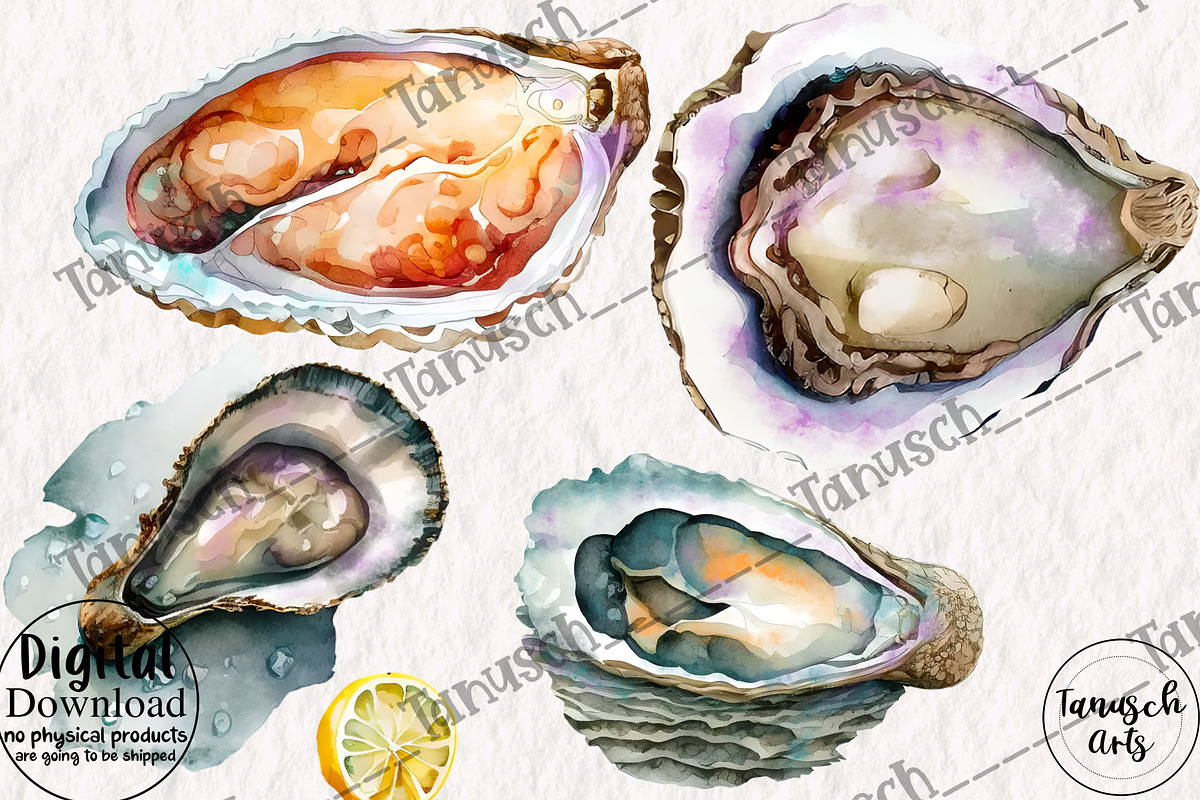 Watercolor oysters clipart, a Food Illustration by TanuschArts