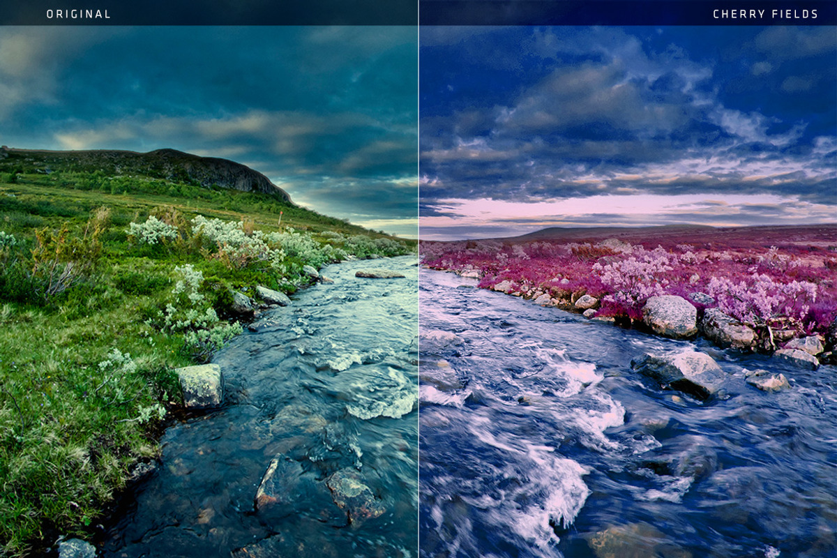 Cherry Fields Action, an Action Add-On by beto (Photo 5 of 5)