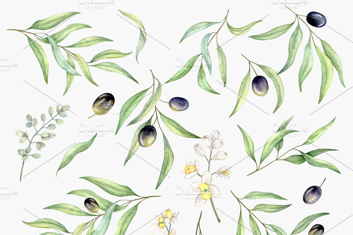 Olive Branches Watercolor Set, a Decorative Illustration by Daryartsy (Photo 9 of 11)