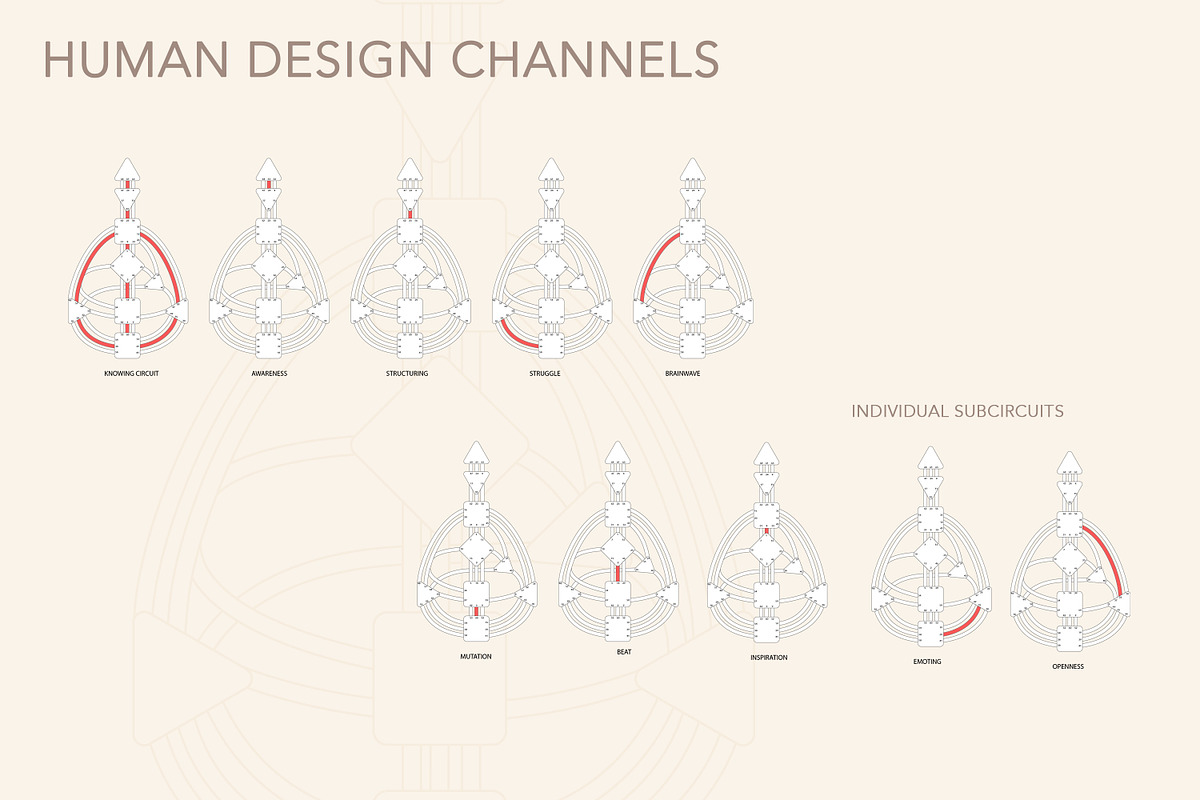 Human Design Vector + CANVA Bundle, an Illustration by Backyard Rose (Photo 22 of 35)