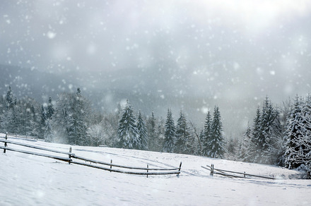 Beautiful winter landscape with snow covered trees, a Nature Photo by Byrdyak