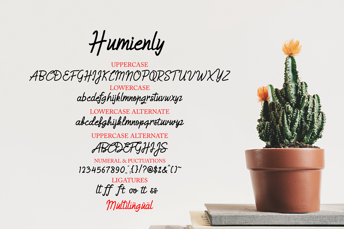 Humienly font, a Script Font by Java pep (Photo 10 of 10)