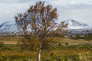 Beautiful mountain view during auto trip in North Iceland. Spect, a Nature Photo by YuriyB
