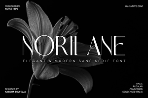 Norilane – Elegant Modern Sans Serif