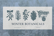 Winter Botanicals Clipart, a Seasonal Illustration by RaDavCrafts (Thumbnail 1 of 12)