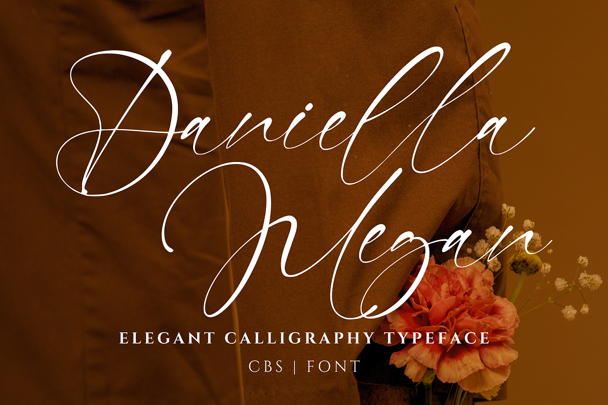 Daniella Megan - Modern Signature, a Handwritten Font by CreateBigSupply (Photo 1 of 9)