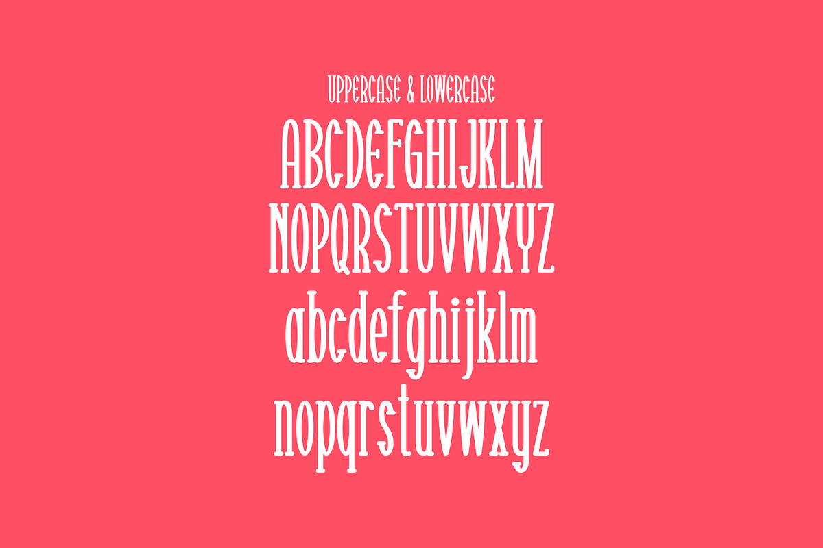 Nawarty, a Serif Font by lelevien (Photo 3 of 5)