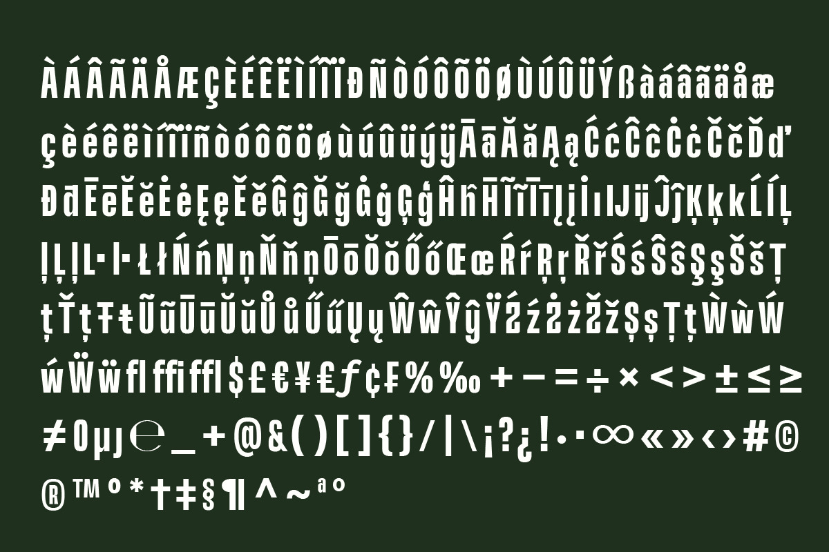 Brodien Condensed Font, a Sans Serif Font by Yukita Creative (Photo 11 of 12)