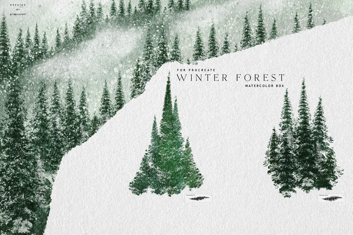 Winter Forest Box for Procreate, a Brush Add-On by Liquid Amethyst Art (Photo 4 of 13)