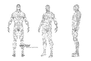 Vector illustration of human body