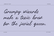 Ambrosany Script, a Script Font by Get Studio (Thumbnail 11 of 14)