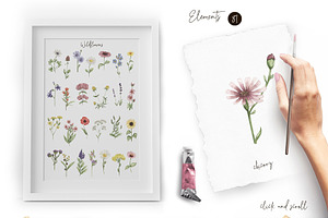 Watercolor Field Flowers Collection