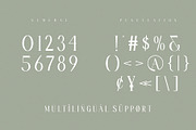 ARSTHEN Ligature Serif Typeface, a Serif Font by Alfinart (Thumbnail 7 of 10)