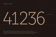 TT Slabs Condensed, a Serif Font by TypeType (Thumbnail 3 of 5)