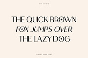 Loving Ambros, a Sans Serif Font by Say Studio (Thumbnail 10 of 15)