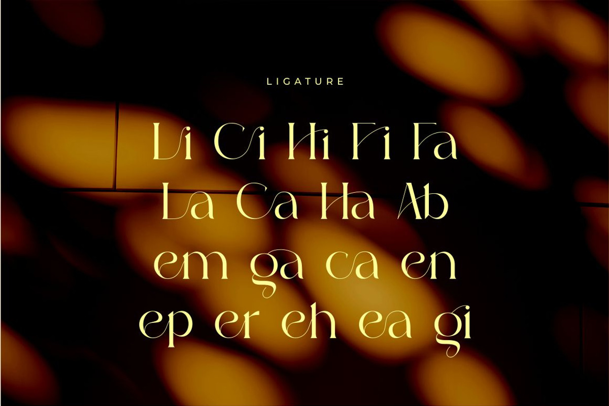 Abigail - Popular Classy Modern Seri, a Serif Font by suhadidesign (Photo 13 of 14)