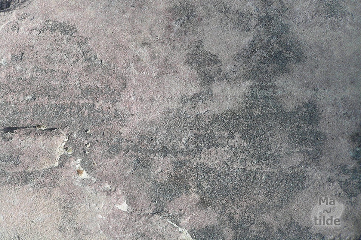 Old Concrete preview 2