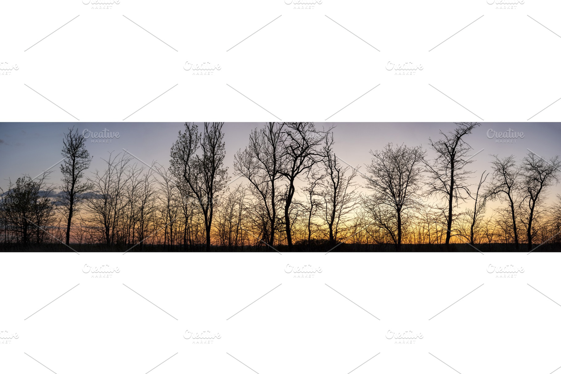 Silhouettes of trees at sunset, a Nature Photo by rnax