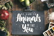 The Vissal script brush logo font, a Sans Serif Font by Ian Irwanwismoyo (Thumbnail 2 of 6)