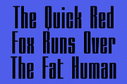 CS Bonfuse – Condensed Font, a Sans Serif Font by Craft Supply Co. (Thumbnail 3 of 8)
