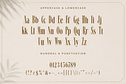 Vellaro - Luxury Modern Serif, a Serif Font by overlaytemplates (Thumbnail 4 of 5)