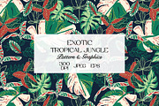 Exotic Tropical Jungle Pattern, a Pattern Graphic by StudioGlouna (Thumbnail 1 of 5)