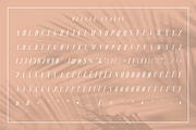 Deluce - Luxury Serif Font, a Serif Font by Craft Supply Co. (Thumbnail 8 of 14)